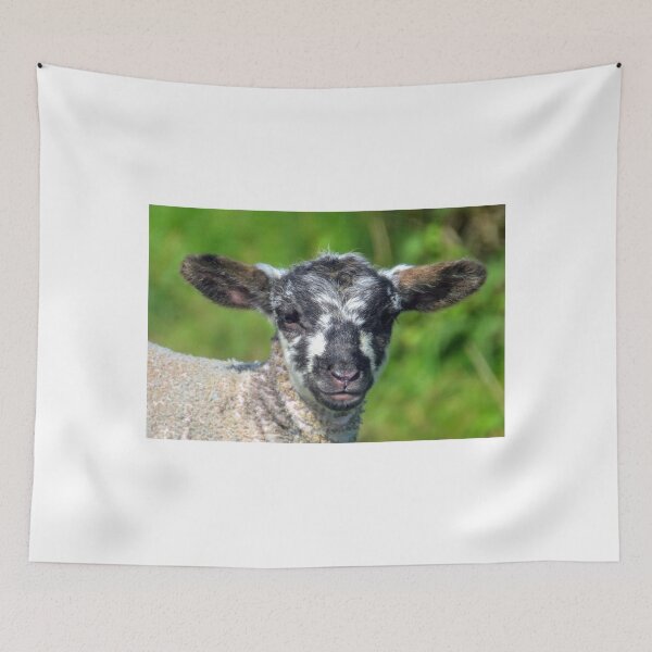 Item preview, What a Face............ designed and sold by lynn carter.