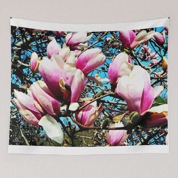 Item preview, Magnolia Tree Closeup designed and sold by Susan Savad.