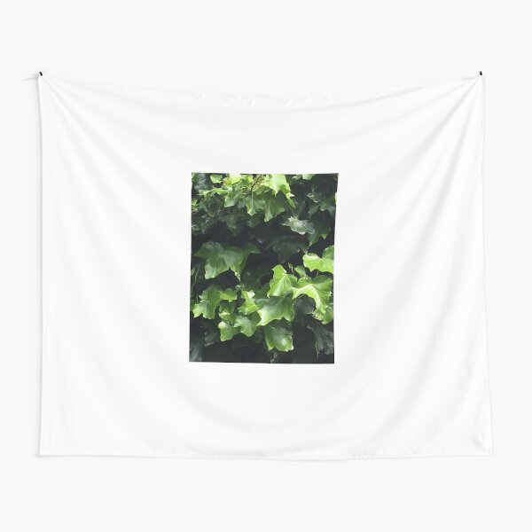Ivy Tapestry