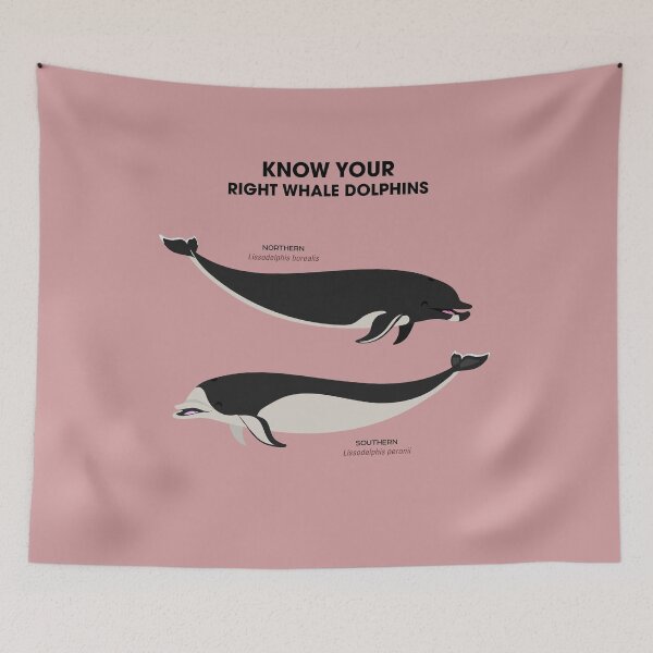 Item preview, Know Your Right Whale Dolphins designed and sold by Peppermint Narwhal.