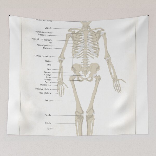 Item preview, Skeleton - White designed and sold by FinlayMcNevin.