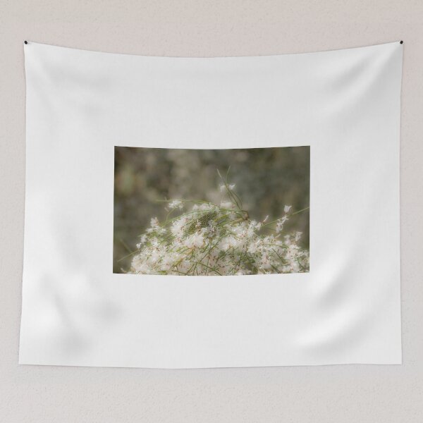 Item preview, On the broom designed and sold by Antonio Pizarro Mendez.