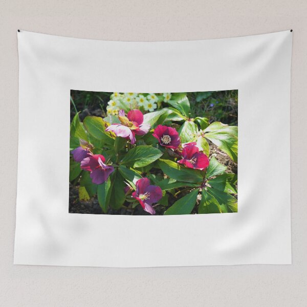 Item preview, Hellebores in the Sunlight.......... designed and sold by lynn carter.
