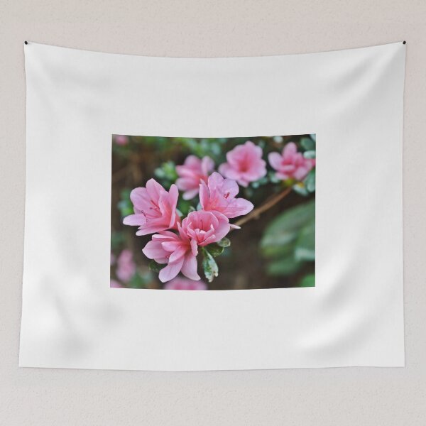 Item preview, The First of the Spring Azaleas designed and sold by Scott Mitchell.
