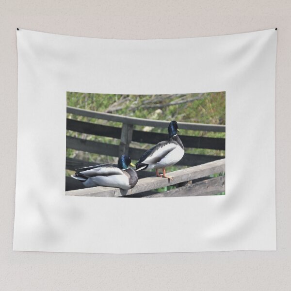 Item preview, Double Ducks at Abbotsbury Dorset UK designed and sold by lynn carter.