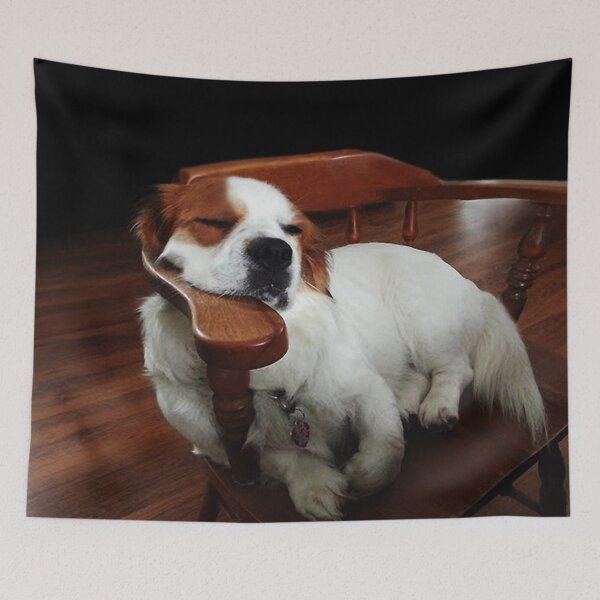 Item preview, Shh DIEZEL'S SLEEPING..CANINE VARIOUS APPAREL designed and sold by ✿✿ Bonita ✿✿ ђєℓℓσ.