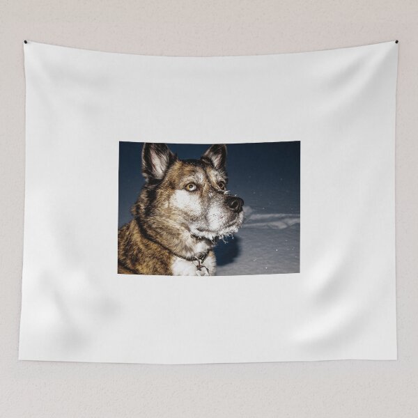 Item preview, Balto designed and sold by RonniHauks.