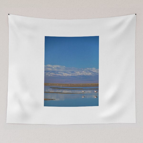 Item preview, Flamingo Reflections, Salar de Atacama, Chile designed and sold by Robert La Bua.