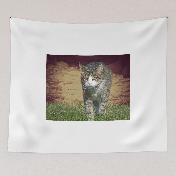Item preview, TJ on the Prowl designed and sold by Frankie Cat Photography.