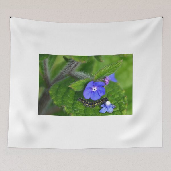 Item preview, First Tiger Moth Caterpillar............ designed and sold by lynn carter.