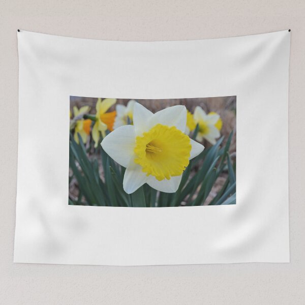 Item preview, Daffodil in the Garden designed and sold by Kathleen Brant.