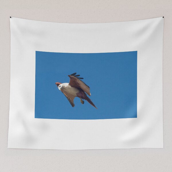 Item preview, Hover designed and sold by byronbackyard.