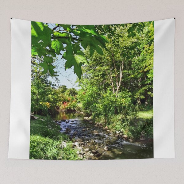 Aperçu de l'œuvre Quiet Stream créée et vendue par Susan Savad.