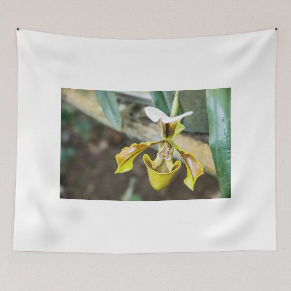 Item preview, Orchid designed and sold by Tess Mitchell.