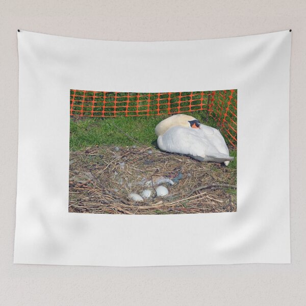 Item preview, Protection for Swan and her eggs....... designed and sold by lynn carter.