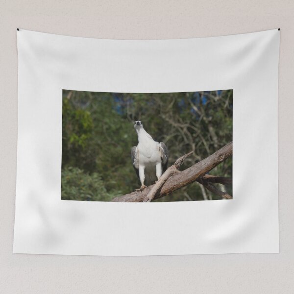 Item preview, Pride designed and sold by byronbackyard.