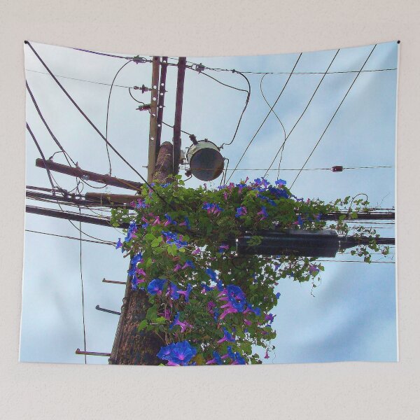 Item preview, Morning Glory designed and sold by MilesArt.