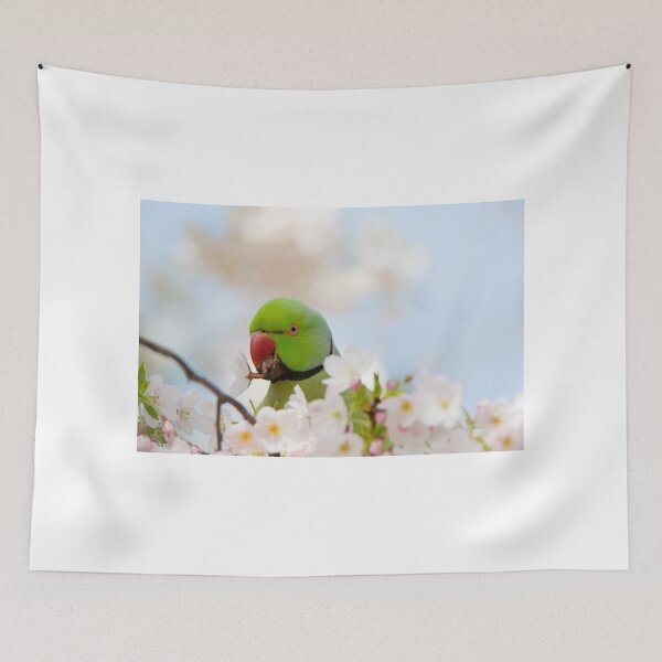 Item preview, Ring Necked Parakeet with blossom designed and sold by Ellesscee.