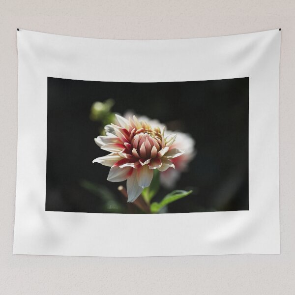 Item preview, Love For Dahlia designed and sold by Joy Watson - Natural Light Photography .