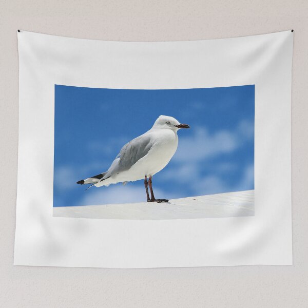 Item preview, Rottnest Seagull designed and sold by Colin  Williams Photography.