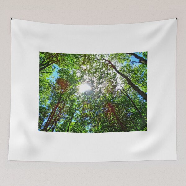 Item preview, Mystical Forest Sky designed and sold by artshop77.