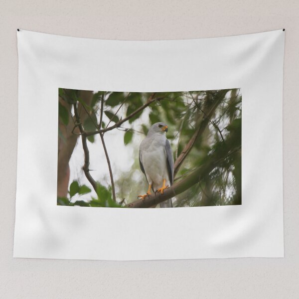 Item preview, The Search For Prey designed and sold by byronbackyard.