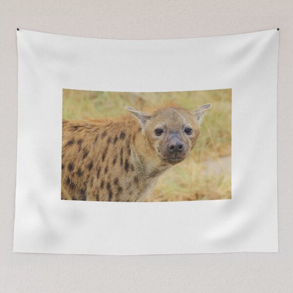 Item preview, Spotted Hyena - Predator Supreme designed and sold by LivingWild.