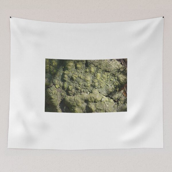 Item preview, Fallen River Birch designed and sold by webster7.