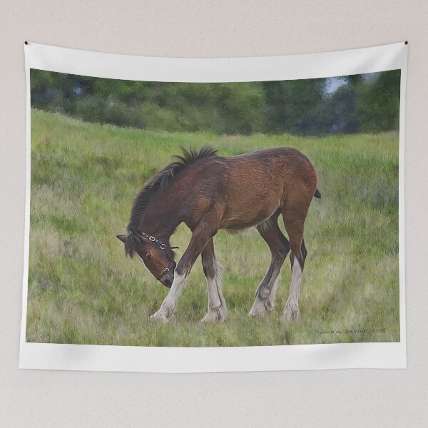 Item preview, Foal - Cotebrook Shire Horse Centre designed and sold by Pamela Saville.