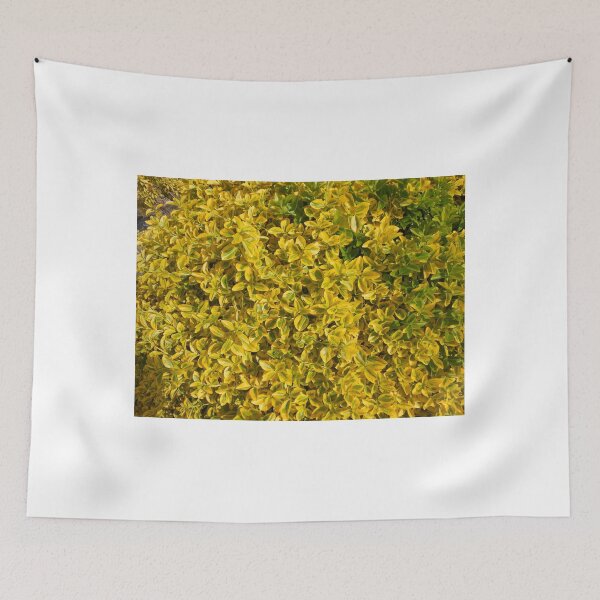 Item preview, Golden Leaves designed and sold by Kathryn Jones.