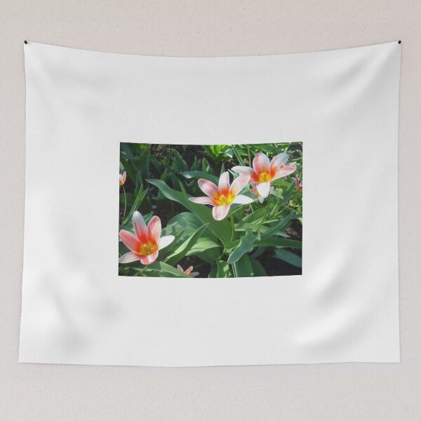 Item preview, Tulips Tulips designed and sold by Vitta.