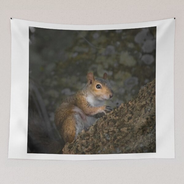 Item preview, Squirrel designed and sold by designingjudy.