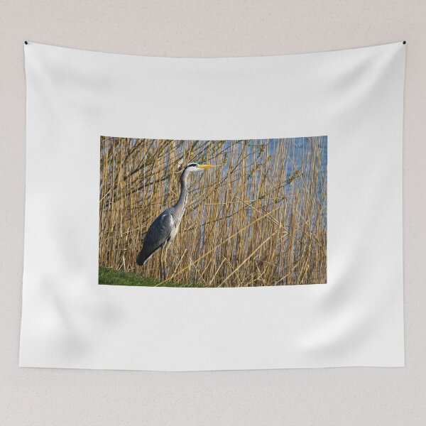 Item preview, Grey Heron among the reeds designed and sold by Violaman.