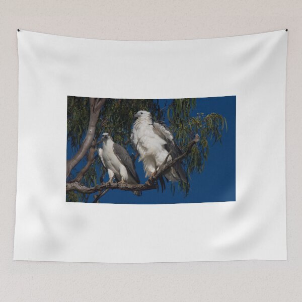Item preview, All Puffed Up designed and sold by byronbackyard.