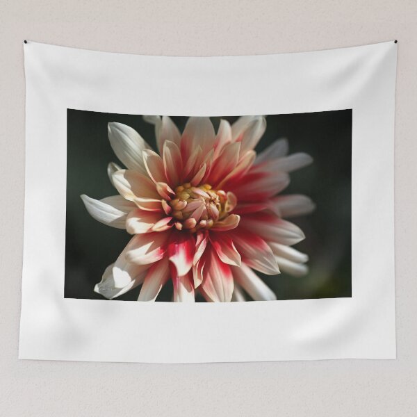Item preview, Dahlia Warmth designed and sold by Joy Watson - Natural Light Photography .