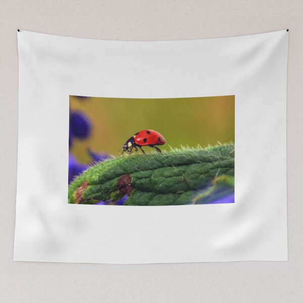 Item preview, First  Lady......... designed and sold by lynn carter.