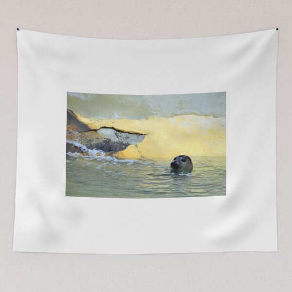 Item preview, A Seal at the Sanctuary Gweek Cornwall UK designed and sold by lynn carter.
