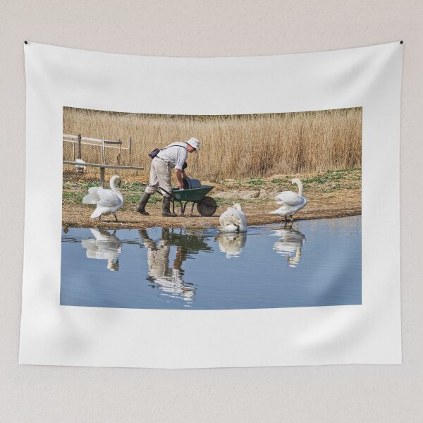 Item preview, Feeding The Swans - Abbotsbury designed and sold by Dorset Girl.