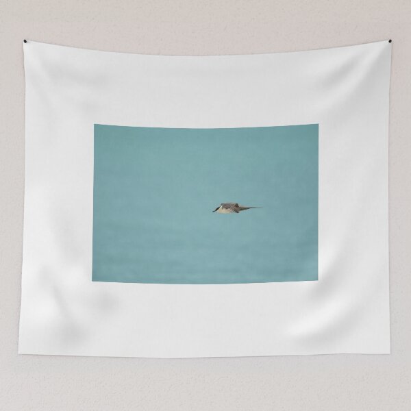 Item preview, Long-tailed Skua designed and sold by Sue Robinson.