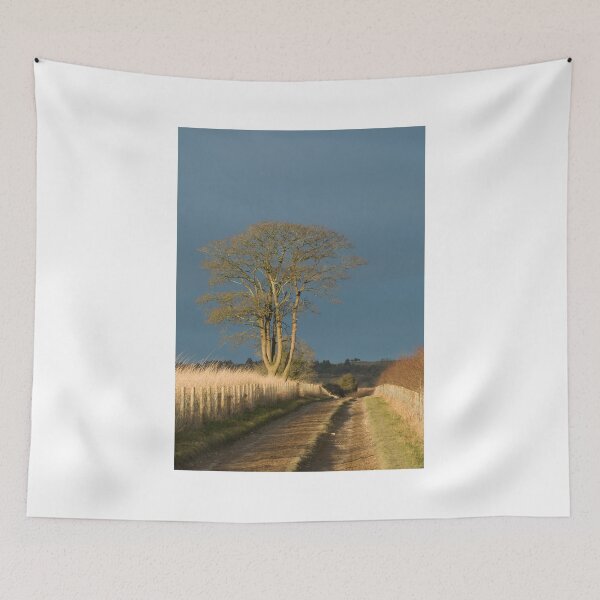 Item preview, Afternoon Sunlight and Cloud designed and sold by Sue Robinson.