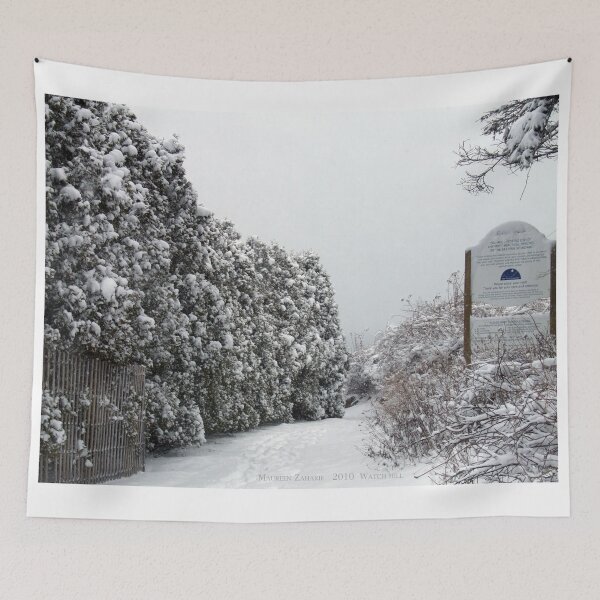 Item preview, Watch Hill, East Beach Winter designed and sold by Maureen Zaharie.