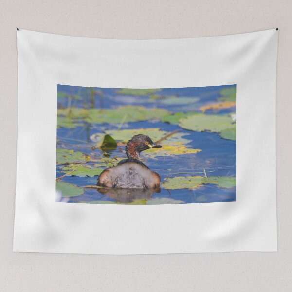Item preview, Breeding Colours designed and sold by byronbackyard.