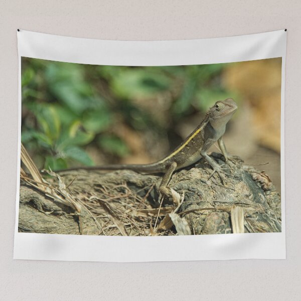Item preview, Gecko  designed and sold by hawkie.