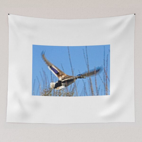 Item preview, Duck............ designed and sold by lynn carter.