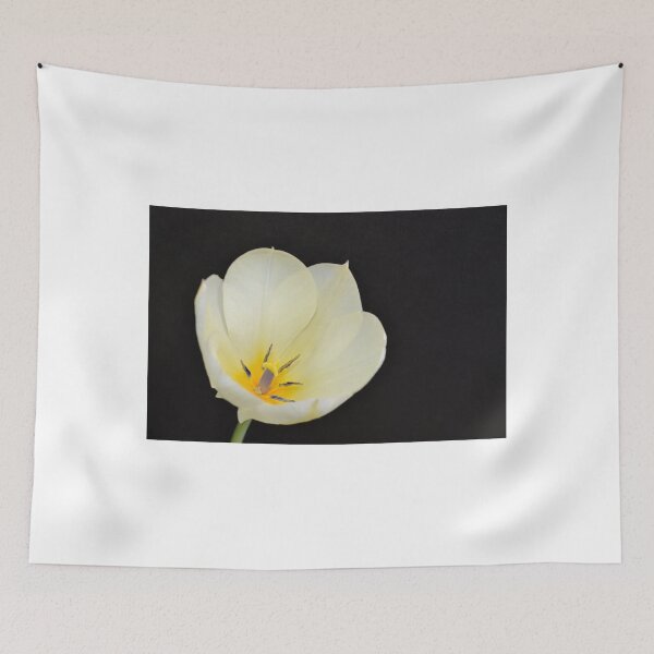 Item preview, White Tulip Just Opening designed and sold by Kathleen Brant.