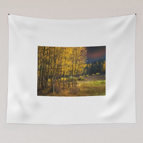 Item preview, 3850 designed and sold by peter holme III.
