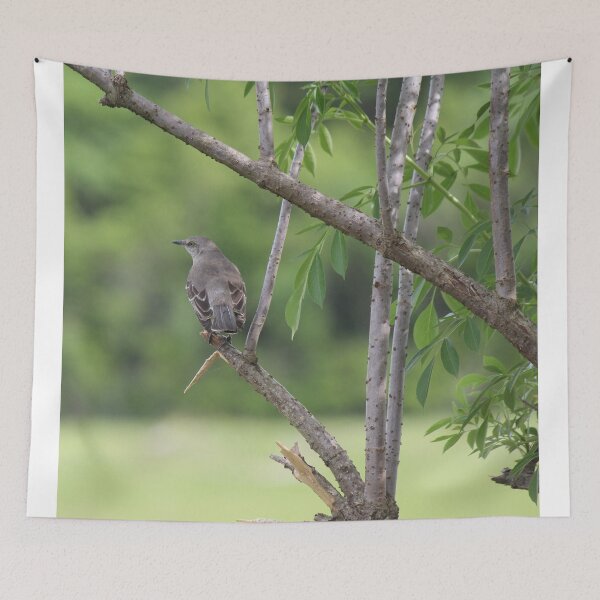 Item preview, Mockingbird designed and sold by Bob Hardy.