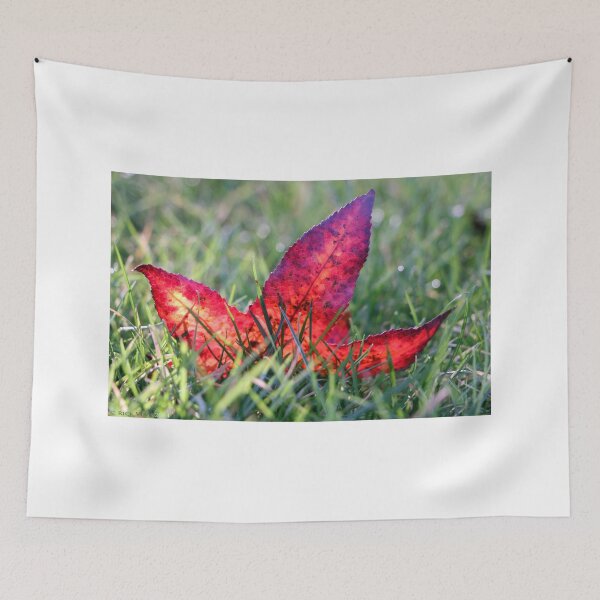 Item preview, Autumn Leaf designed and sold by RickVink.