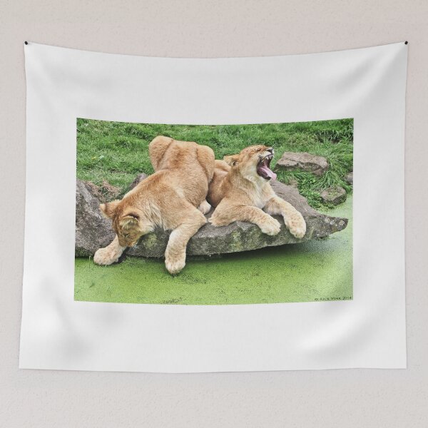 Item preview, Lion Cubs designed and sold by RickVink.