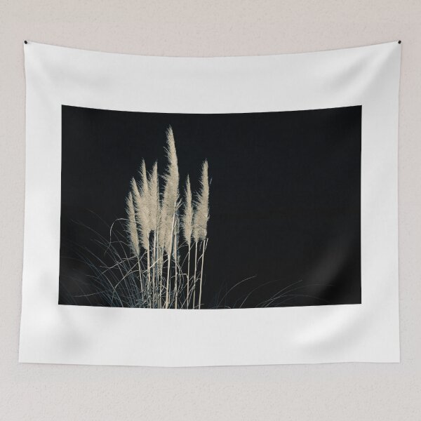 Aperçu de l'œuvre Pampas flowers and leaves isolated on black. créée et vendue par Brian Scantlebury.
